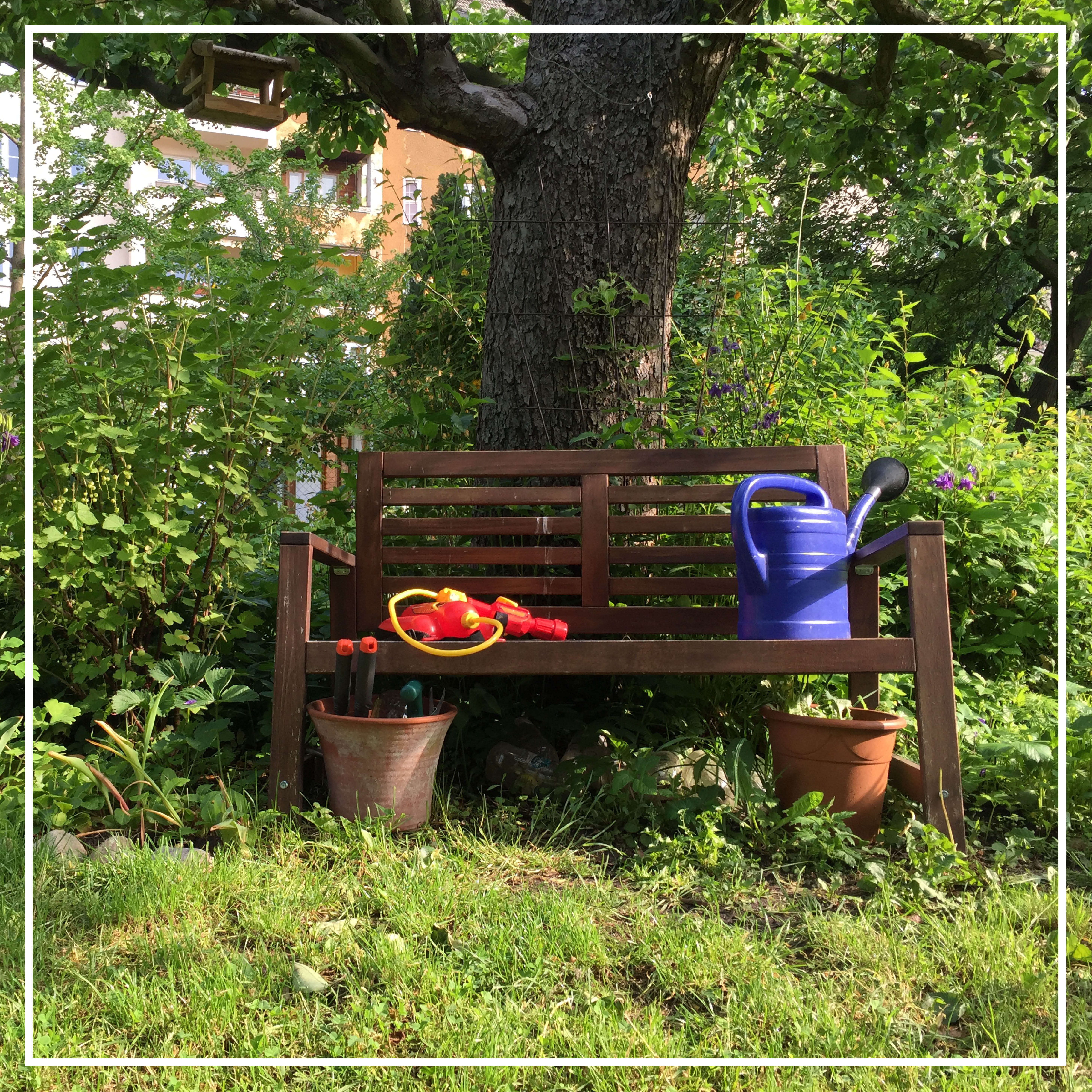 Text: Ein Garten für meinen Kirschbaum